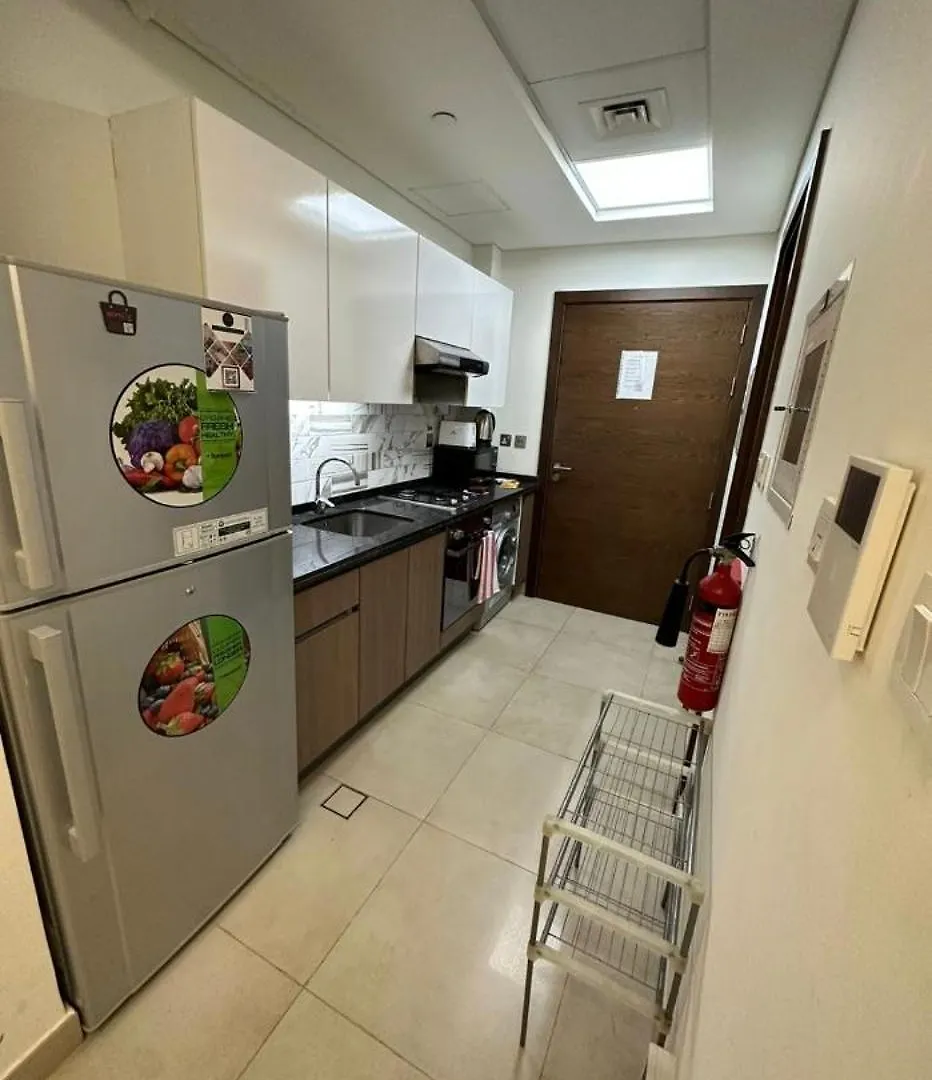Cozy, Fully Furnished, Kitchen Equipped Studio Apartment With All Facilities Dubai United Arab Emirates